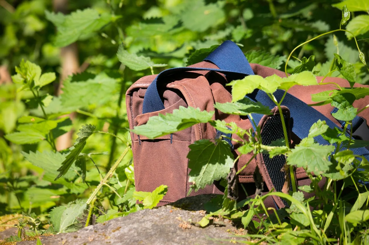 photographic equipment, photo bag, pocket, camera bag, taking photos, hobby, leisure time, vacations, travel. What does a photographer pack when planning a backroad itinerary?