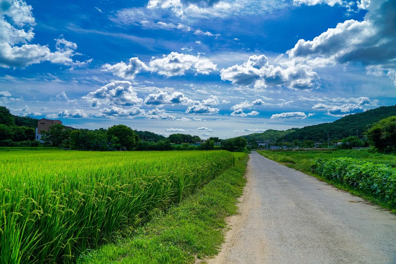 road, highway, field, rural, nature, country, sky, clouds, landscape