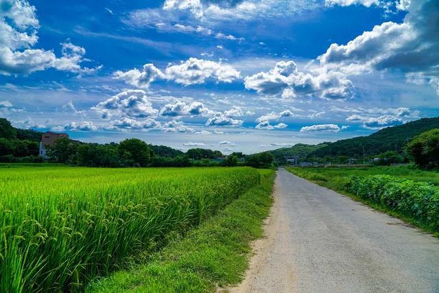 road, highway, field, rural, nature, country, sky, clouds, landscape
