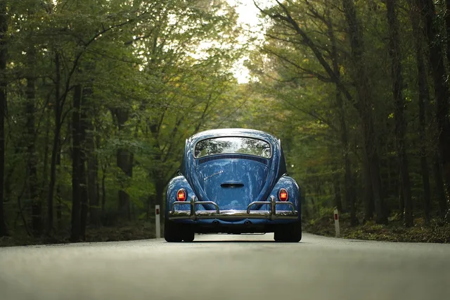 vw, car wallpapers, beetle, car, classic car, forest, outdoors, road, drive, road trip, trip, travel, trees, nature, vehicle, vintage, volkswagen, volkswagen beetle. Building a two-day itinerary around one guided road trip operator
