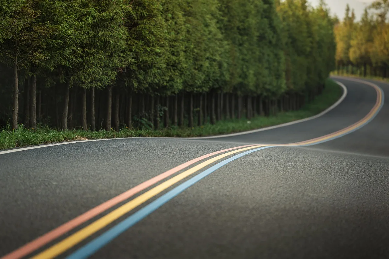 road, winding road, forest, nature, countryside, country road, road, road, road, road, road. Two unhurried days, one scenic drive: how the shape works