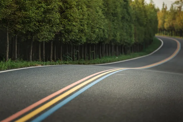 road, winding road, forest, nature, countryside, country road, road, road, road, road, road. Two unhurried days, one scenic drive: how the shape works