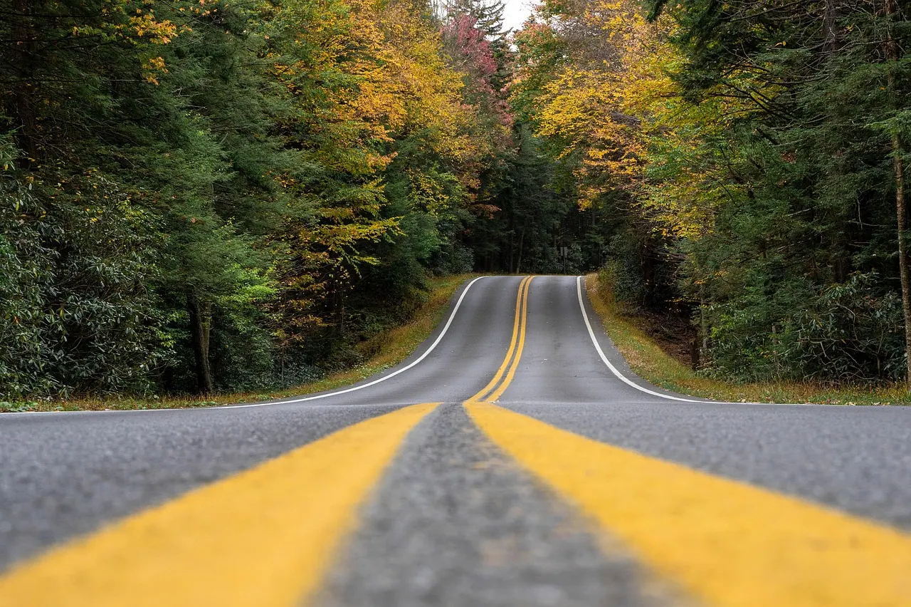 road, landscape, autumn, highway, fall, nature, forest, woods, country