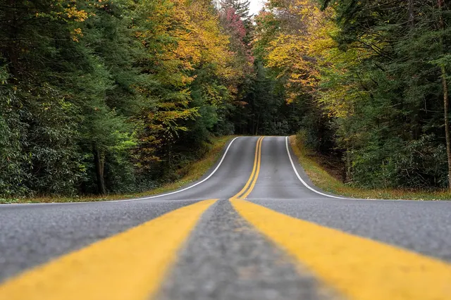 road, landscape, autumn, highway, fall, nature, forest, woods, country