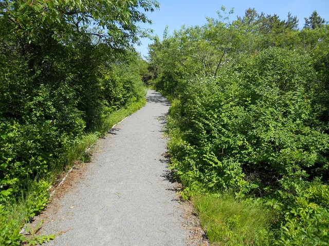 In the center of the refuge a wheelchair-accessible trail leads through a Black Pine grove and over the dunes to an elevated beach overlook. Access to the beach from there is forbidden. Which of the five slow road travel shapes actually suits a disabled traveler?