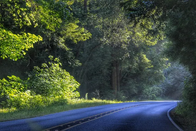 country road, pathway, nature, road, travel, lush, country road, pathway, pathway, pathway, pathway, pathway. Is a slow travel accessibility label trustworthy, or just optimistic?