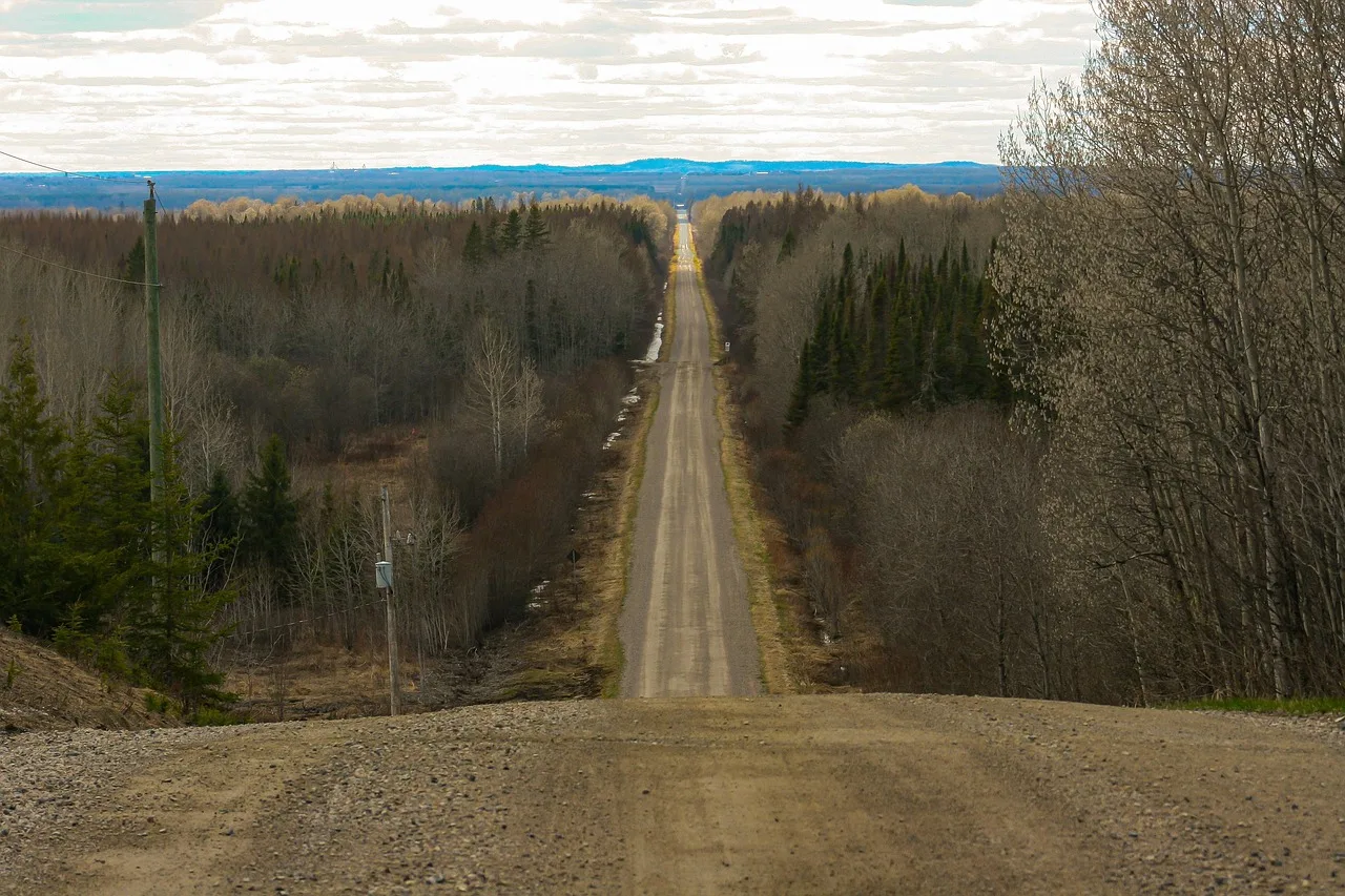 road, highway, trees, forest, gravel road, country, rural, nature, landscape. Short paved loop or long gravel run: backroad itineraries compared