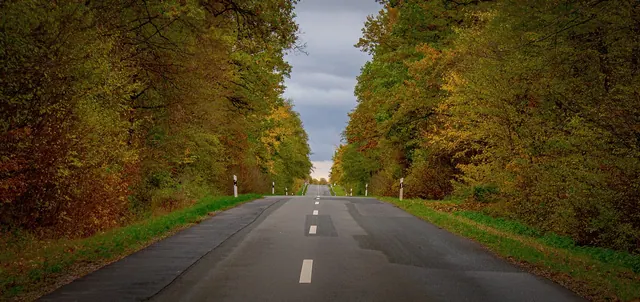 road, country road, eve, landscape, forest, nature, path, highway, fall, asphalt, mood, heaven, moment, blank