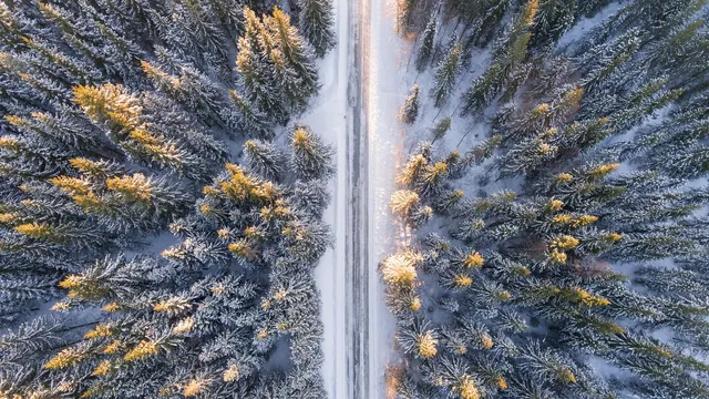 nature, forest, frost, snowy, trees, scenery, road, snow, aerial, winter, season, scenic, environment, travel, outdoors, landscape, adventure, peaceful, discovery, spring, aerial p. Best seasons to avoid the usual slow travel mistakes in 2027