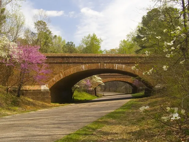 colonial parkway, virginia, road, highway, bridge, architecture, trees, sky, clouds, country, countryside, rural, landscape, spring, nature, outside, brown bridge, colonial parkway. Blue Ridge Parkway Pull-offs vs. Busy Overlooks: A Quiet Comparison