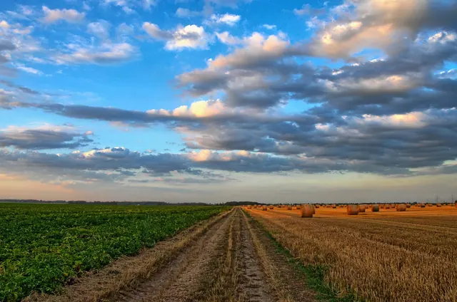 field, road, rural, country road, rural road, farm, farmland, cropland, hay bales, hay field, agriculture, landscape, scenery, countryside, nature, sunset, dusk, grevenbroich, germ