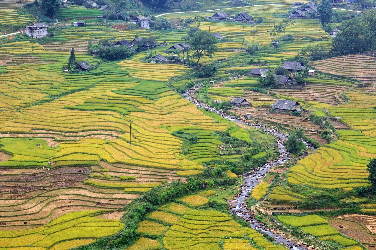sapa, lao cai, vietnam, landscape, nature, plant, mountain, village, tourism, local, hill, travel, valley, green, sapa, sapa, sapa, sapa, sapa. Slow travel mistakes companies can't fix: ask locally