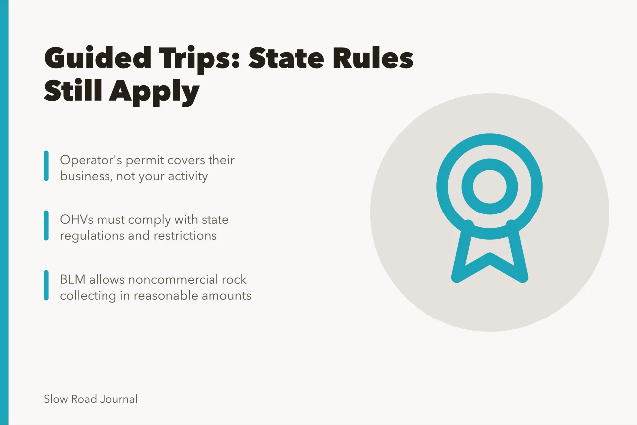 road, street, highway, travel, way, transportation, asphalt, direction, path, trip, journey, route, drive, transport, motion, freeway, ride, speedway, movement, trees, forest, wood. Does a guided road trip cover state rules or collecting limits?