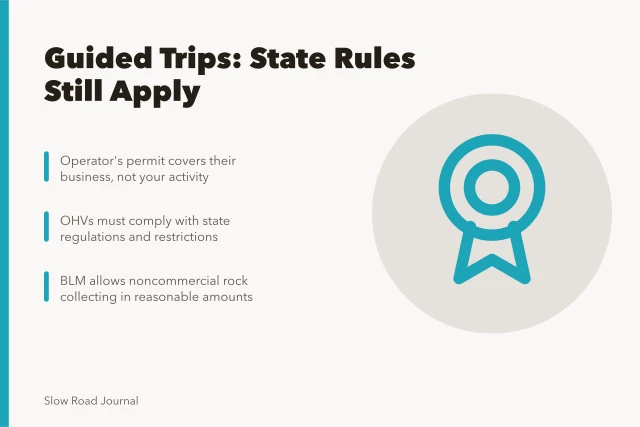road, street, highway, travel, way, transportation, asphalt, direction, path, trip, journey, route, drive, transport, motion, freeway, ride, speedway, movement, trees, forest, wood. Does a guided road trip cover state rules or collecting limits?