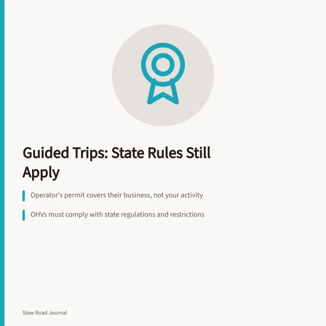 Road trip rules: state laws, permits, and collecting limits. Does a guided road trip cover state rules or collecting limits?