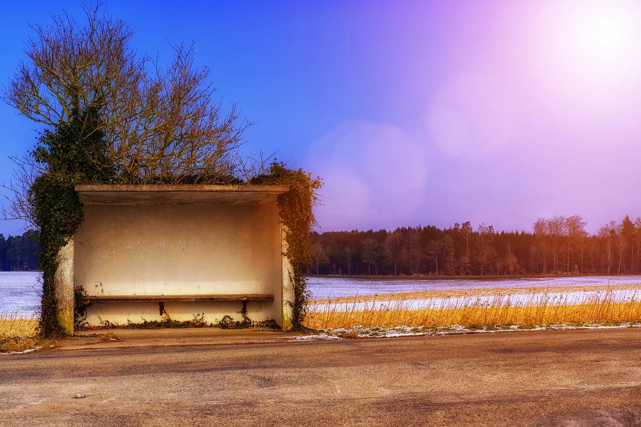 stop, bus stop, road, country road, winter, winter landscape, wait, bank, seating, bus stop, bus stop, bus stop, bus stop, bus stop