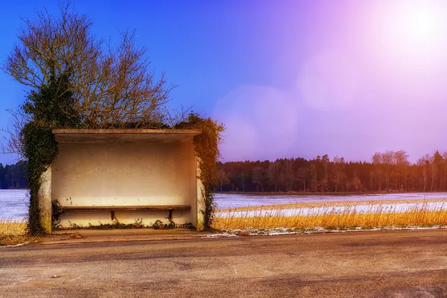 stop, bus stop, road, country road, winter, winter landscape, wait, bank, seating, bus stop, bus stop, bus stop, bus stop, bus stop